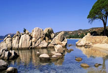 九游投注-利物浦在欧冠赛季中展现出强大的实力？